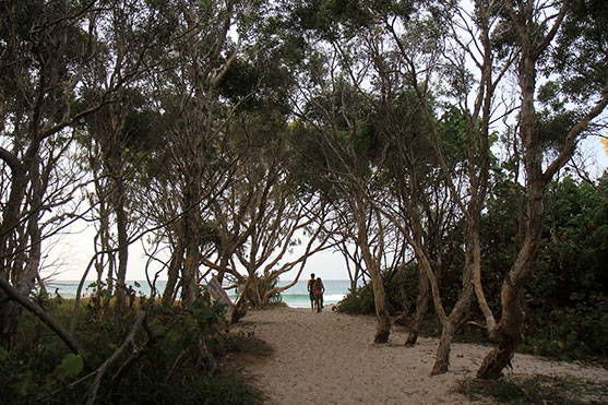 The path to the beach at Island Vibe Festival