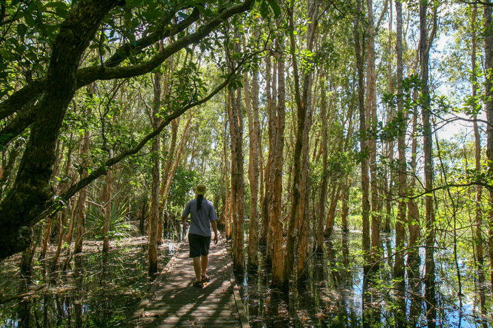 Fogg Dam Conservation Reserve & Ned, Northern Territory