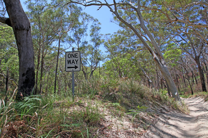 Moreton Island