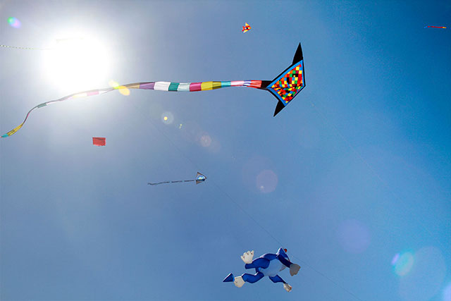 Brisbane Kite Festival