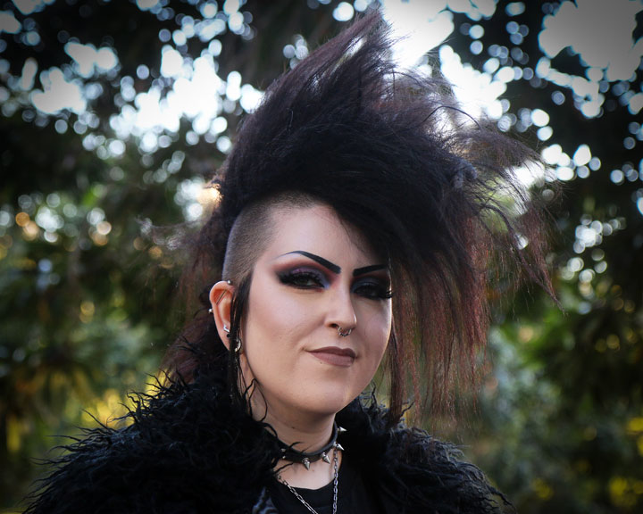 The Brisbane Gothic and Alternative Picnic