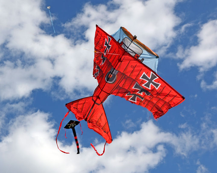 74th Independence Day of India and Gold Coast Kite Festival, HOTA, Gold Coast