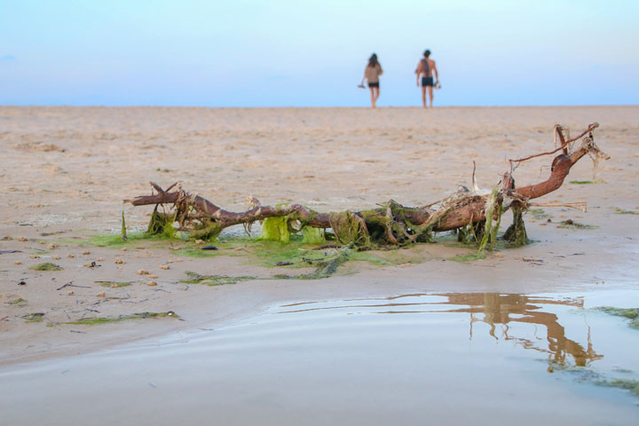 The Beach, Island Vibe Festival 2018, Stradbroke Island