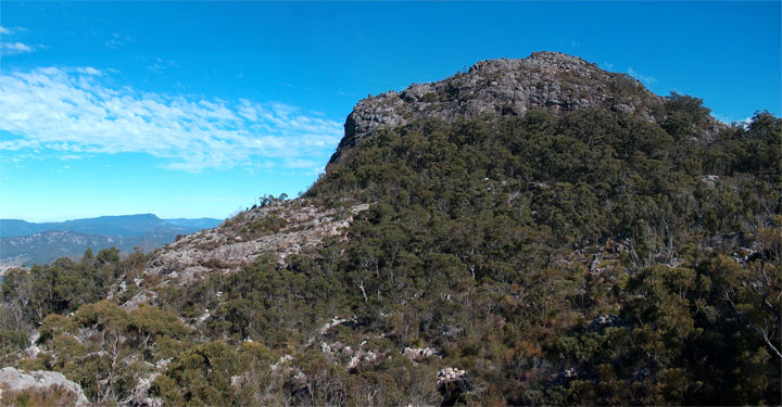 Bushwalk up Mt Maroon