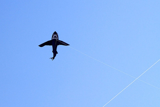 Brisbane Kite Festival