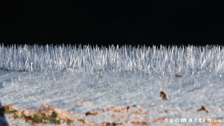 Frost, Tooma Reservoir, Snowy Mountains