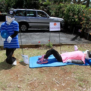 Tamborine Mountain Scarecrow Festival