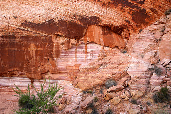 Rock formations in the Valley of Fire