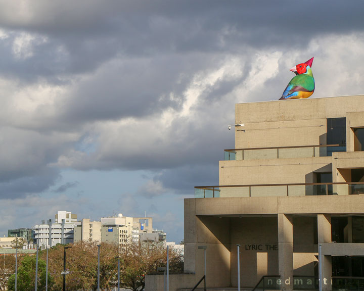 Messenger Birds, Brisbane Festival, QPAC