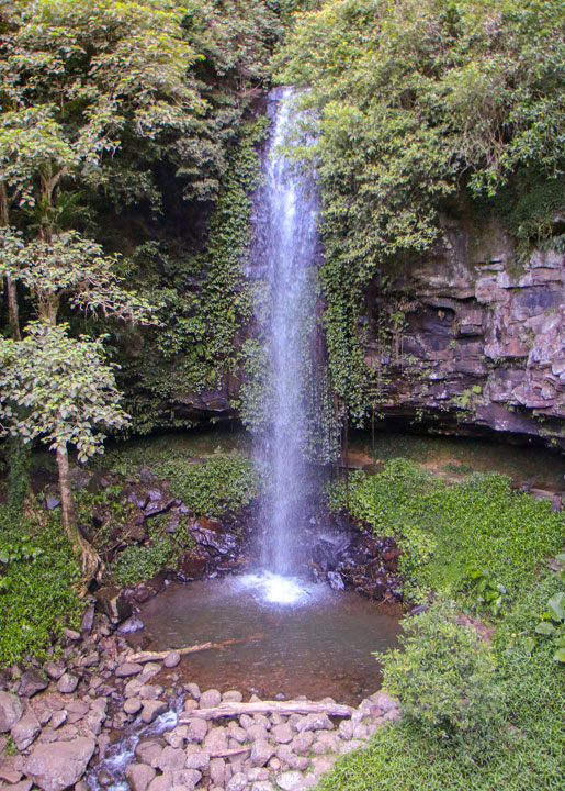 Crystal Shower Falls, Dorrigo