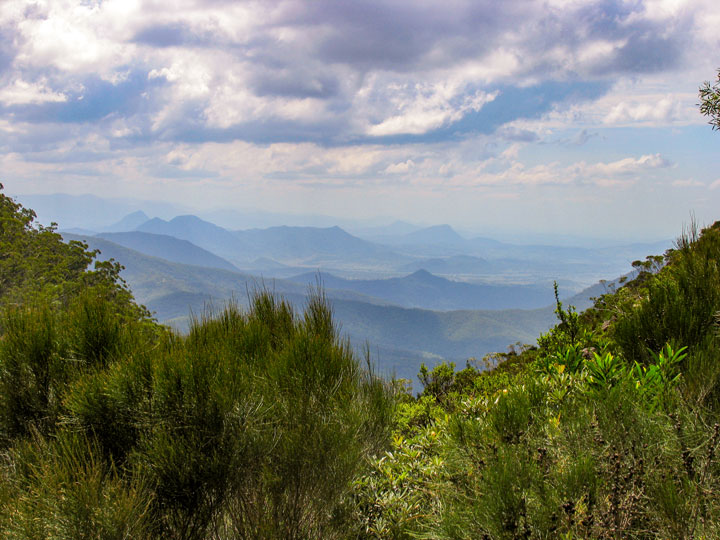 Bushwalk up Mt Barney  via South (Peasant's) Ridge