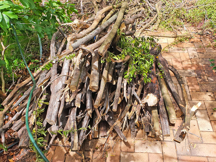 Sticks in the backyard