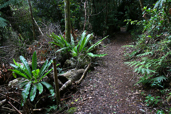 The path leaves the gorge area and heads back into the hills