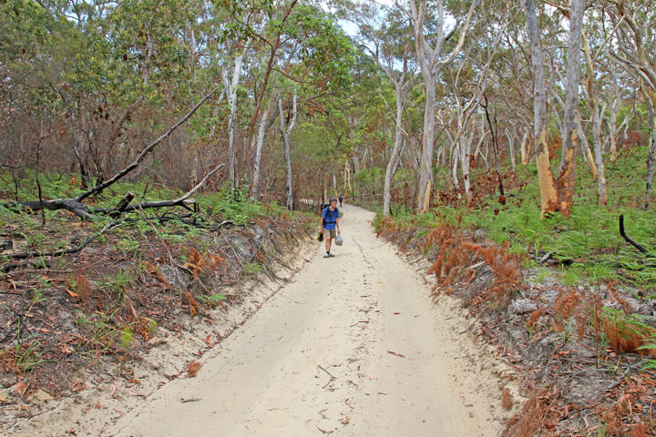 Moreton Island