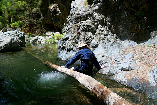 Maz accidentally testing the water