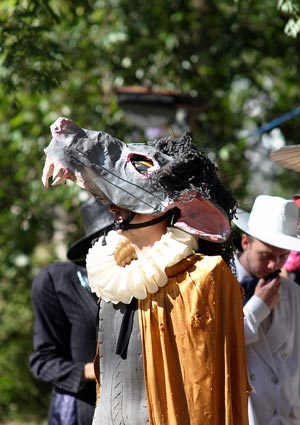 The Amazing Woodford Folk Festival