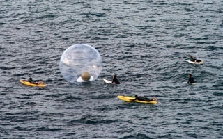 Floating bubble thing, Sculpture by the Sea