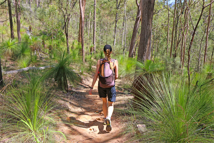 Bronwen walking to Lower Portals