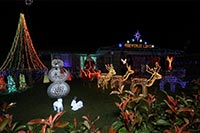 “Third Place Neighbourhood”, Abbeyfeale Lights, Abbeyfeale St, Tingalpa