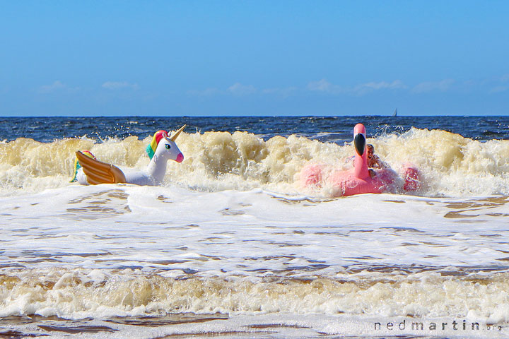 Bronwen & Jacqui discovering surfing flamingos is harder than it looks