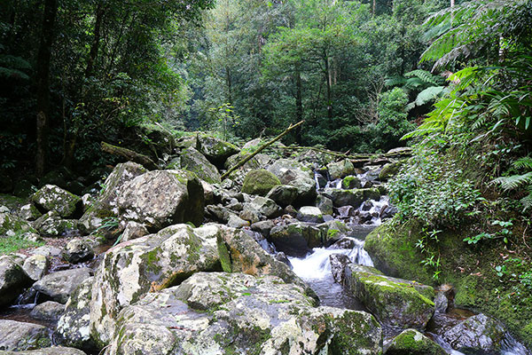 Crossing the creek