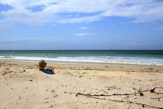 Ned working hard on the beach