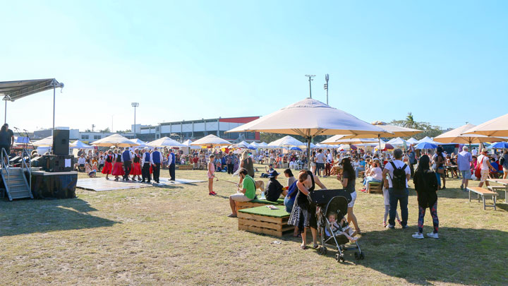 Scandinavian Festival, Perry Park, Bowen Hills