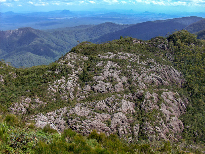 Bushwalk up Mt Barney  via South (Peasant's) Ridge