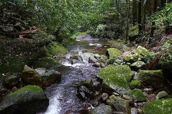 The creek going merrily on its way