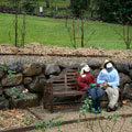 Scarecrows at Tamborine Mountain