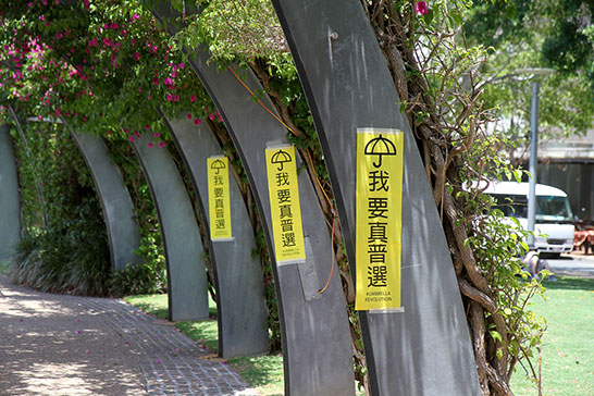 Umbrella Protesters from Hong Kong