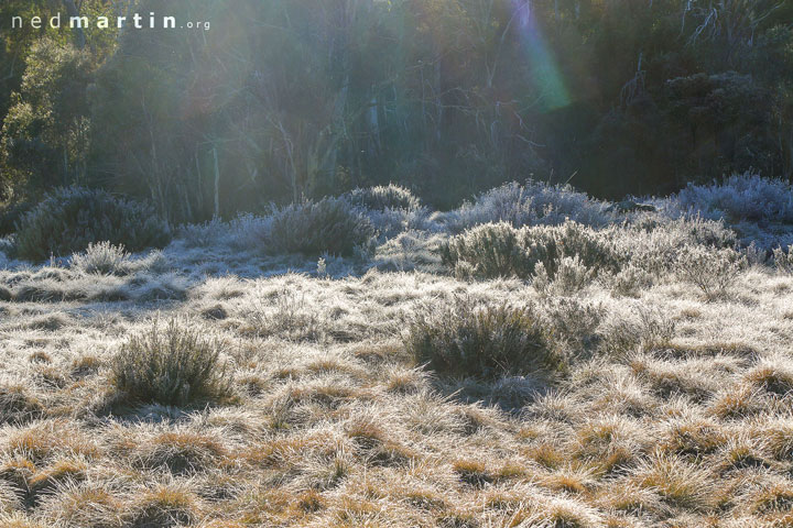 Frost, Tooma Reservoir, Snowy Mountains