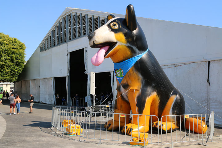 RSPCA Big Adopt Out, Brisbane Showgrounds