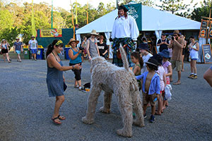 Big Rory & Ochie the Dog