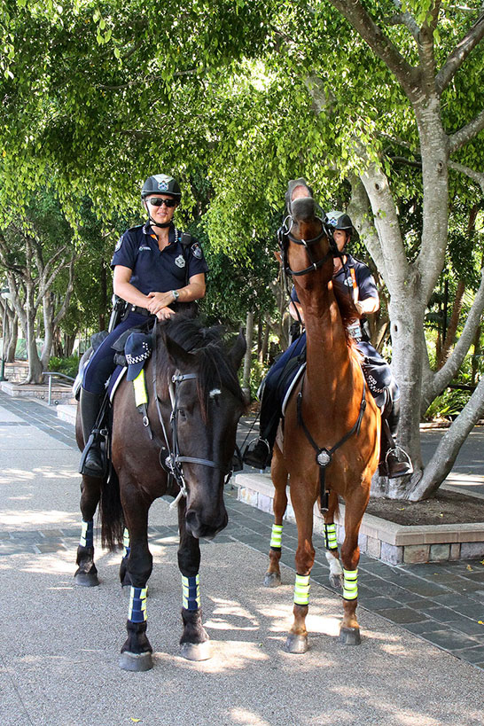 There were quite a lot of horse police