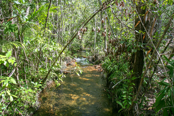 Shady Creek, Northern Territory