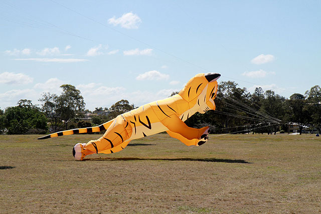 Brisbane Kite Festival