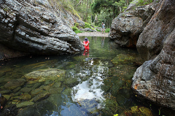 Bronwen wading through the water