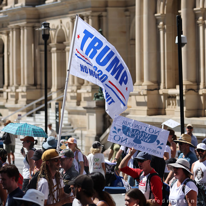 Freedom Rally, Brisbane