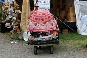 Woodford Folk Festival