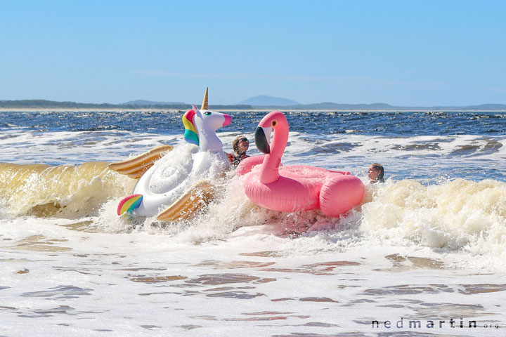 Bronwen & Jacqui taming their inflatable animals