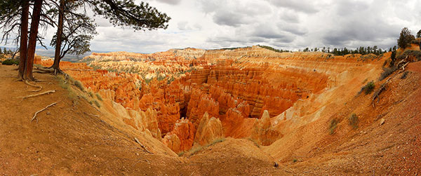 A hoodoo-filled amphitheatre in Bryce Canyon