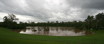 The swollen Brisbane River at College’s Crossing