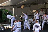 Moon Lee Taekwondo, Korean Multicultural Festival