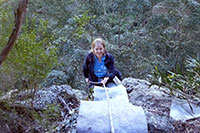 Bronwen abseiling into Secret Cave, Flinder’s Peak