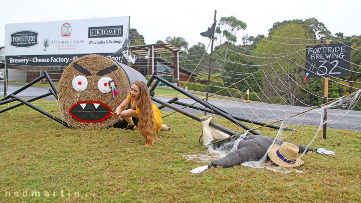 Bronwen at the Tamborine Mountain Scarecrow Festival