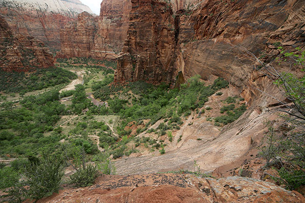 Looking down into Zion Canyon