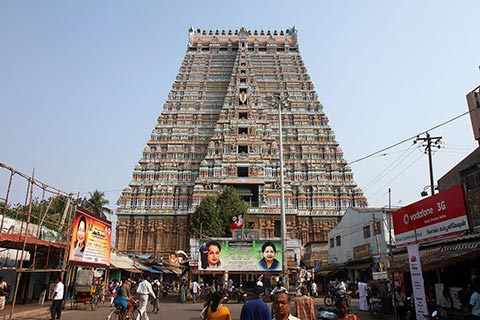 Sri Ranganathaswamy Temple from a distance