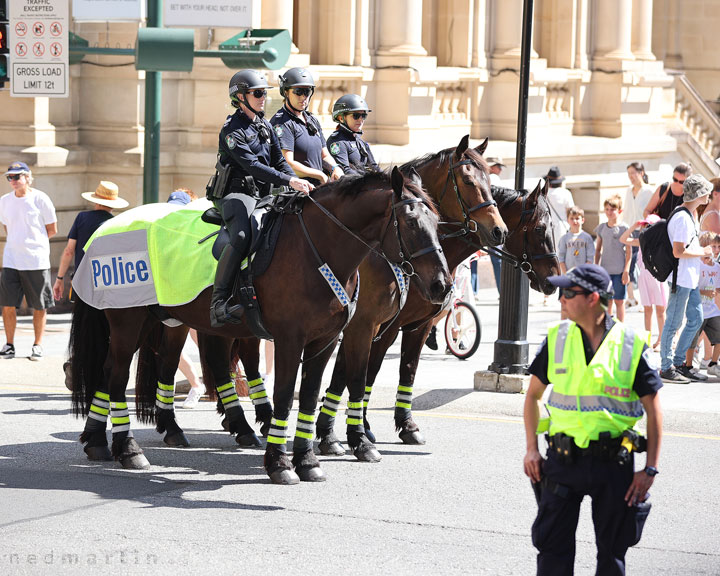 Freedom Rally, Brisbane