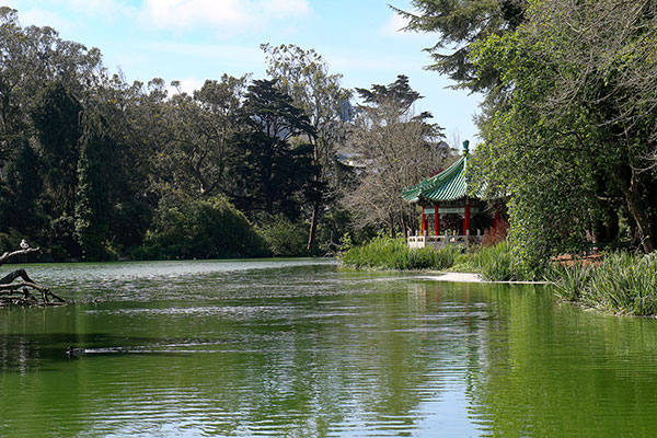 Golden Gate Park